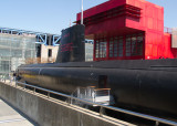 3558.jpg