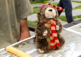 Petes marmot