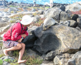 Sea Lion whispering