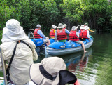 Elizabeth Bay mangrove lagoon