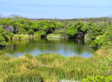  Punta Moreno on Isla Isabela