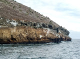 Isla Daphne