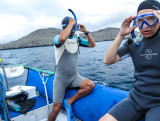 Snorkeling at Devils Crown, Isla Floreana