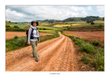 Camino de Santiago 2015