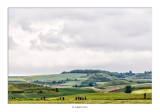 Caminando entre campos de cereales
