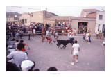 Rossell - Festes Majors 1984 · Tarde de bous
