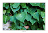 16/10/2015 · Fulles