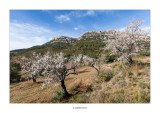 13/02/2016 · Mola del Buscarró