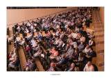 Auditori i Palau de Congressos de Castelló de la Plana, el públic