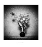 Gerro amb flors de plàstic i ploma