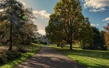 approach to dyffryn.house