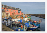 Fishing Fleet