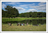 Tatton Park