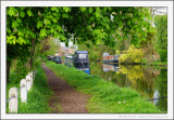 Bridgewater Canal