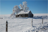  Lincoln Co homestead 