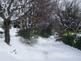 Villedieu-sneeuw-02.jpg