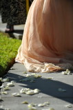 DSC_5316c.jpg