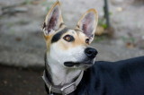 DSC03245c.jpg