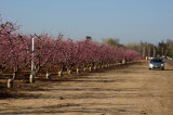 DSC00764c.jpg