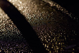 06/06/2013 - _MG_1386.jpg