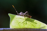 06/20/2013 - _MG_3232.jpg