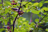 06/28/2013 - _MG_1642.jpg