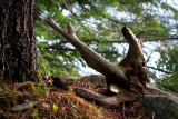 07/28/2013 - _MG_3242.jpg