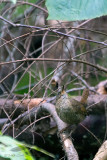 08/01/2013 - _MG_2783.jpg