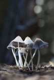 08/11/2013 - _MG_2958.jpg