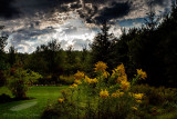 09/12/2013 - _MG_3309.jpg