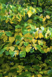 10/04/2013 - _MG_3402.jpg