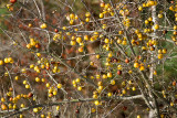 20131124-_MG_4029.jpg