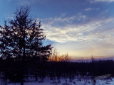 01/16/2014 - IMG_4633.jpg