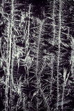 01/22/2014 - _MG_4445.jpg