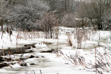 02/02/2014 - _MG_4561.jpg