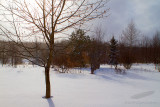 03/13/2014 - _MG_5230.jpg