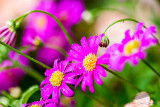 06/08/2014 - _MG_8653.jpg