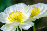 06/20/2014 - _MG_9013.jpg