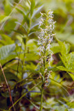 07/08/2014 - _MG_0078.jpg