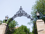 IMG_4962.jpg