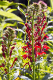 07/25/2014 - _MG_0698.jpg