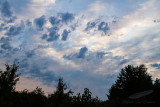 07/26/2014 - _MG_1210.jpg