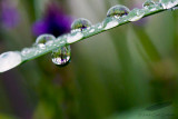 07/28/2014 - _MG_1227.jpg