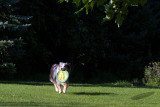 08/21/2014 - _MG_1912.jpg