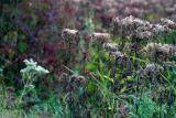 09/16/2014 - _MG_2315.jpg