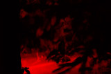 10/02/2014 - _MG_2485.jpg