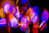 11/26/2014 - _MG_3166.jpg