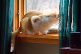 12/28/2014 - _MG_3588.jpg