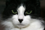 04/23/2005  -IMG_0099_2.jpg