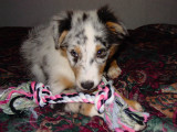 08/01/2004 - 0408_052.jpg